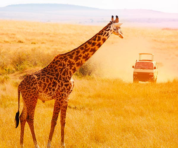 Kenya
